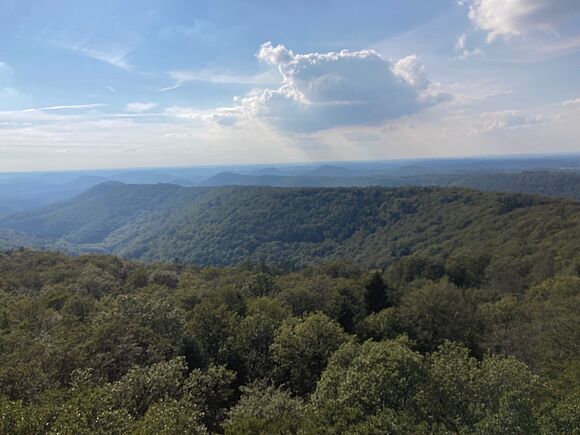 Schönheit Pfälzer Wald