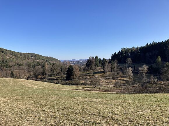 Sanfte Hügel am Schönbuchrand