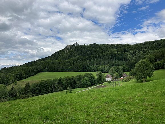 Blick über die Wiesen zum Albtrauf